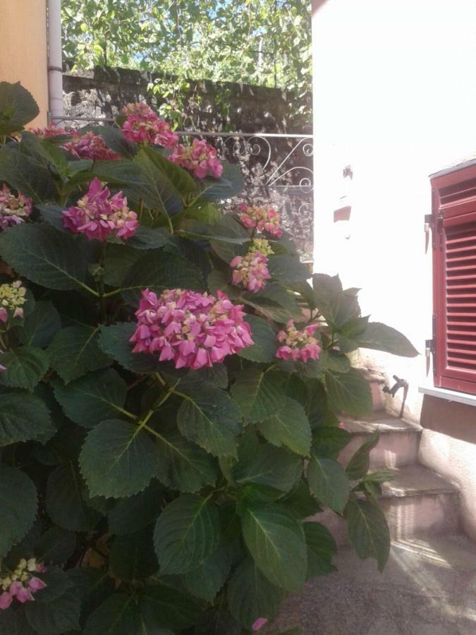 شقة Carrodano Inferiore  في Monolocale Per Coppia المظهر الخارجي الصورة